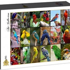 Ik denk dat ik ziek ben Het spijt me vraag naar Grafika - Legpuzzel - Collage - De Mooiste Vogels van de Wereld - 1500  stukjes - Legpuzzels 1001-2000 stukjes - Puzzelwereld.eu