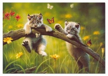 Puzzelwereld-Legpuzzel-Educa-Kittyland-500 stukjes-13413