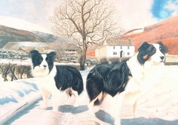 puzzelwereld legpuzzel the house of puzzles 0618 Border Watch 500 stukjes P