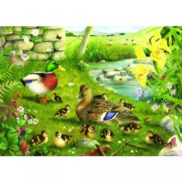 Puzzelwereld legpuzzel the house of puzzles 1608 Ducks To Water 500 stukjes XL P