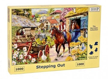 puzzelwereld legpuzzel the house of puzzles 4715 stepping out 1000 stukjes L