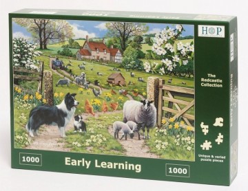puzzelwereld legpuzzel the house of puzzles early learning 1000 stukjes R