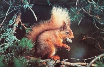 puzzelwereld legpuzzel the house of puzzles 0199 red alert 1000 stukjes P