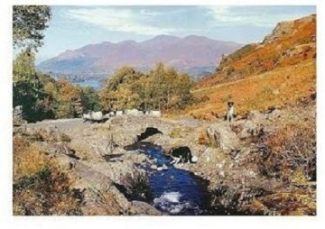 Puzzelwereld legpuzzel the house of puzzles 0748 thirsty work 1000 stukjes P