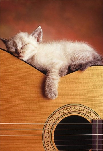 Puzzelwereld-Legpuzzel-Educa-Mijn Gitaar-500 stukjes-15510 P