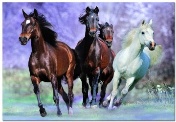 Puzzelwereld-Legpuzzel-Educa-In Galop-1000 stukjes-14809 P