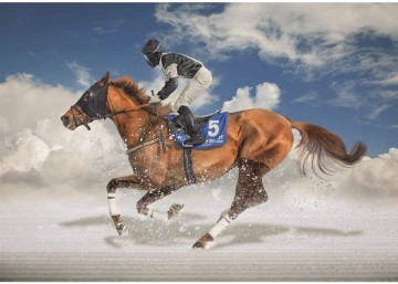 Puzzelwereld-Legpuzzel-Educa-St Moritz Witte Finale-1500 stukjes-16307 P