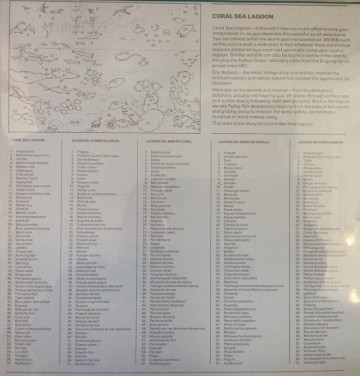 puzzelwereld legpuzzel james hamilton 1054 coral sea lagoon T