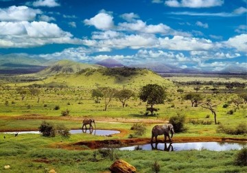 Puzzelwereld-Legpuzzel-Educa-Nationaal Park Tsavo, Kenia-500 stukjes-15152