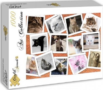 Puzzelwereld-Legpuzzel-Grafika-Collage Katten-1000 stukjes-F00381 L