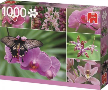 Puzzelwereld legpuzzel jumbo 18354 hollandse orichideeen 1000 stukjes R