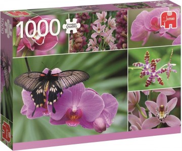 Puzzelwereld legpuzzel jumbo 18354 hollandse orichideeen 1000 stukjes L