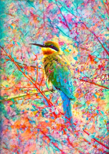 Puzzelwereld   enjoy   1000 stukjes   vrolijke vogel   ej2178