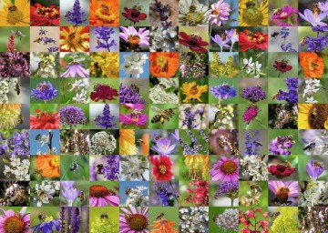 Puzzelwereld   ravensburger   173860   99 bijen   1000 stukjes p