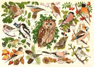 Puzzelwereld   the house of puzzles   kenmore collection   t6184   500 xl stukjes   woodland birds
