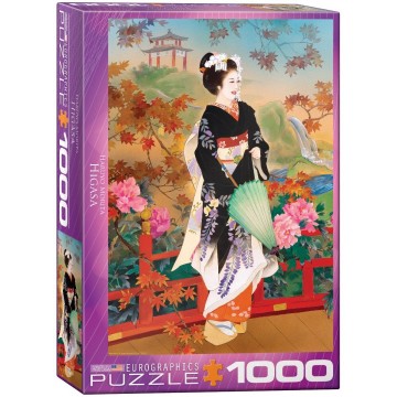Puzzelwereld legpuzzel eurographics 0742  morita higasa 1000 stukjes L