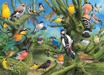 Puzzelwereld legpuzzel eurographics 0967 garden birds 1000 stukjes P