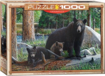 Puzzelwereld legpuzzel eurographics 0793 nieuwe ontdekkingen 1000 stukjes L