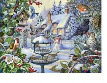 Puzzelwereld legpuzzel the house of puzzles winter birds 500 stukjes XL P