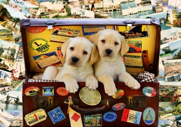 Puzzelwereld legpuzzel bluebird 70237 two travel puppies 1000 stukjes p