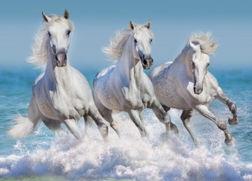 Puzzelwereld legpuzzel bluebird 90284 paarden paradijs 1500 stukjes p