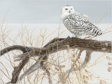 Puzzelwereld legpuzzel cobble hill 85031 fallen willow snowy owl 500 xl stukjes p