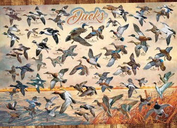 Puzzelwereld legpuzzel cobble hill 80263 ducks of north america 1000 stukjes P