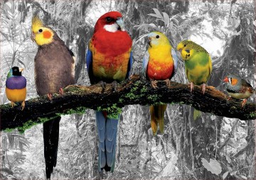 Puzzelwereld legpuzzel educa 17984 gekleurde vogels en de jungle 500 stukjes P