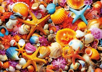 Puzzelwereld legpuzzel educa 20246 schelpencollage 1000 stukjes p