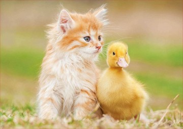 Puzzelwereld legpuzzel educa echte vrienden 500 stukjes 18467 p