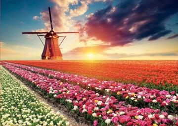 Puzzelwereld legpuzzel educa tulpenveld met molen 1500 stukjes 18465 p