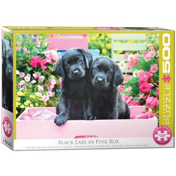 Puzzelwereld legpuzzel eurographics 5362 black labs in pink box 500xl stukjes l