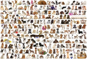 Puzzelwereld legpuzzel eurographics 581 honden 1000 stukjes p