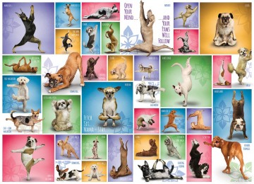 Puzzelwereld legpuzzel eurographics 954 yoga dogs 1000 stukjes p