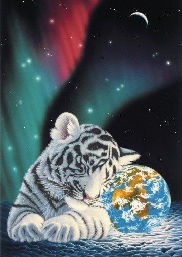 Puzzelwereld legpuzzel grafika 0400   earth light 1500 stukjes p