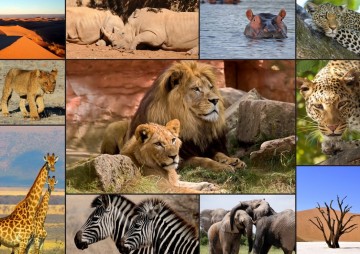 Puzzelwereld legpuzzel grafika 30026 collage   wildlife 1500 stukjes p