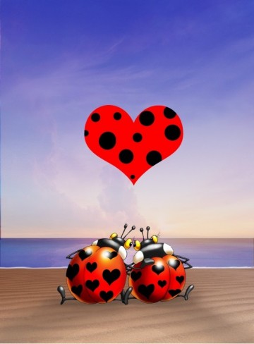 Puzzelwereld legpuzzel grafika 30378 francois ruyer   love 2000 stukjes p