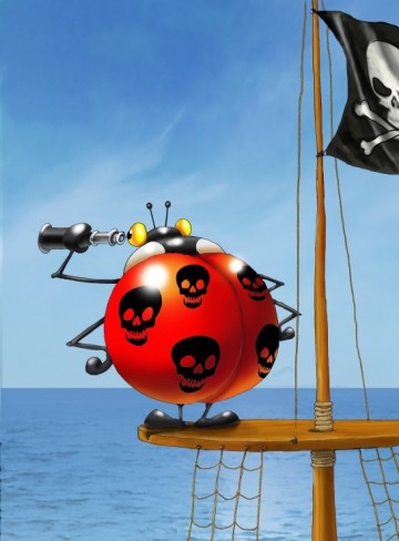 Puzzelwereld legpuzzel grafika 30379 piraten 2000 stukjes p