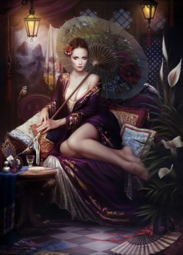 Puzzelwereld legpuzzel grafika 33695 anis 1500 stukjes p