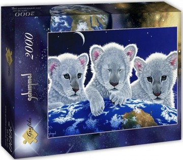 Puzzelwereld legpuzzel grafika 402 secret mystery and hope 2000 stukjes d   kopie