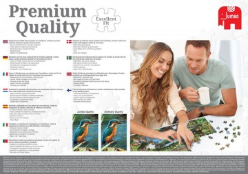 Puzzelwereld legpuzzel jumbo  carnival in rio 1000 stukjes 18365 a