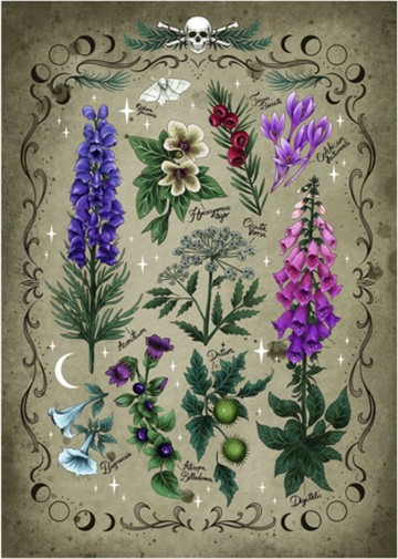 Puzzelwereld legpuzzel ravensburger 7814 giftige planten  1000 stukjes p