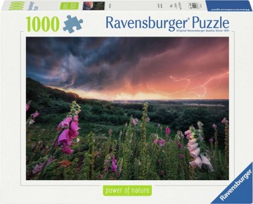 Puzzelwereld legpuzzel ravensburger 7937 dreamy thunder  1000 stukjes f