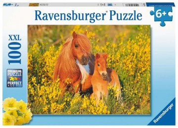 Puzzelwereld legpuzzel shetlandponys ravensburger 132836 100 stukjes d