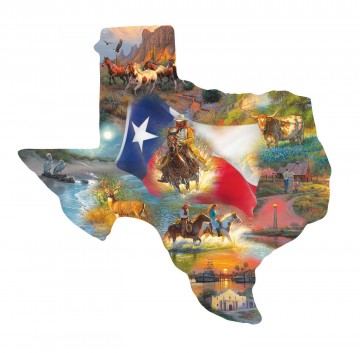 Puzzelwereld legpuzzel contour sunsout 95030  Images of Texas 1000 stukjes P