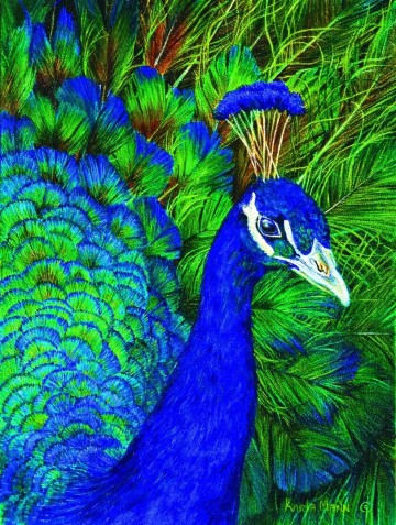 Puzzelwereld legpuzzel sunsout 26204 peacock 1000 stukjes p