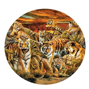 Puzzelwereld legpuzzel sunsout 35124 tigers galore 500 stukjes p
