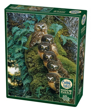 Puzzelwereld legpuzzels 1000 stukjes cobble hill family tree 40170 d