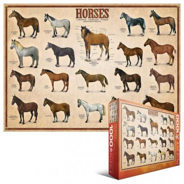 Puzzelwereld legpuzzel  eurographics 0078 collage paarden LP