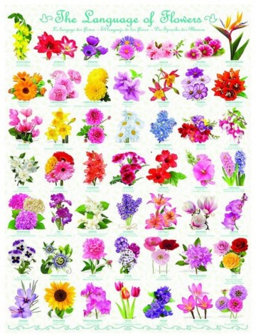 Puzzelwereld legpuzzel eurographics 0579 de taal der bloemen P